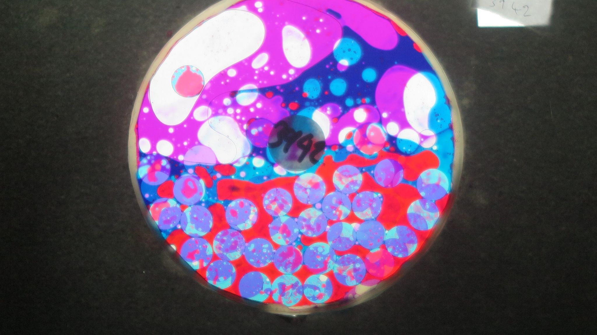 BV3942 bubble vision oil wheel